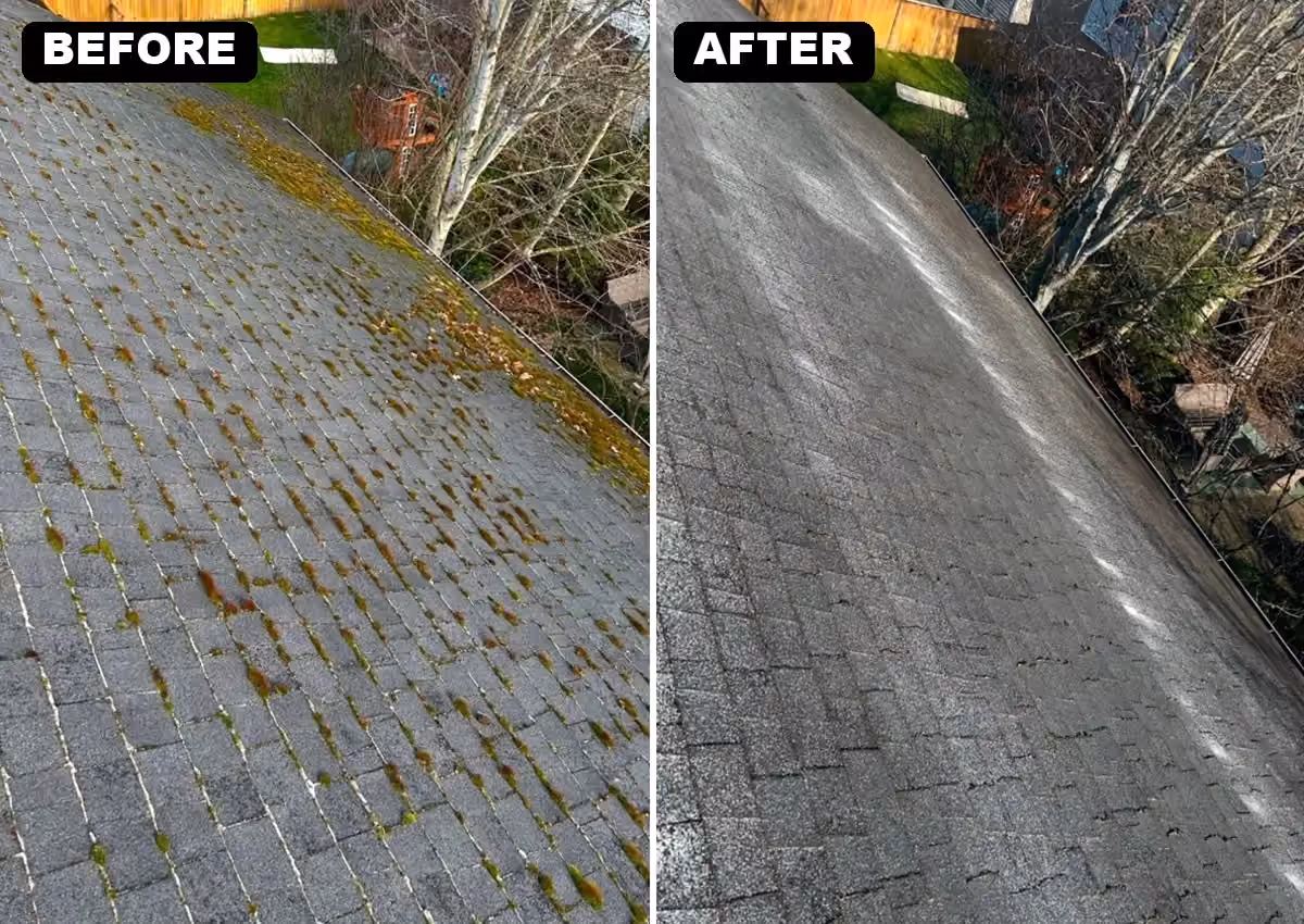 Roof moss, before & after — Cascade Armor job photo
