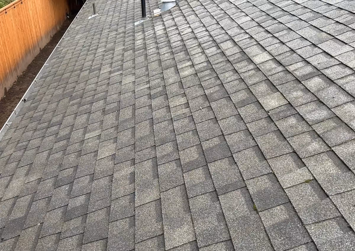 Clean roof shingles after Cascade Armor roof cleaning