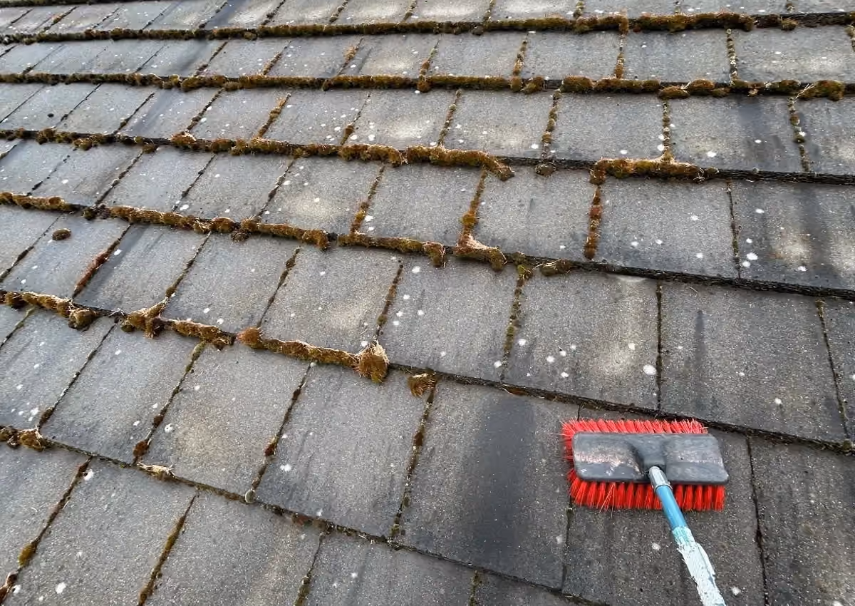 Care for a tile roof — Cascade Armor job photo